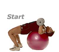 Decline Dumbbell Press on TheraGear� Swiss Ball Pro 1