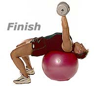 Decline Dumbbell Press on TheraGear� Swiss Ball Pro 2