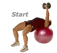 Horizontal Triceps Extension on TheraGear® Swiss Ball Pro with Dumbbells 1