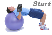 DB  Bench with Swiss Pro Ball 1
