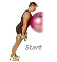 Incline Standing Calf Raises with Swiss Exercise Ball and Dumbbells 1