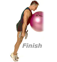 Incline Standing Calf Raises with Swiss Exercise Ball and Dumbbells 2