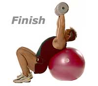 Incline Dumbbell Press on TheraGear� Swiss Ball Pro 2