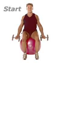 Seated Dumbbell Biceps Curls on TheraGear� Swiss Ball Pro  1