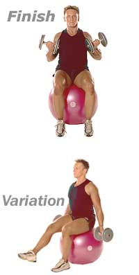 Seated Dumbbell Biceps Curls on TheraGear� Swiss Ball Pro  2