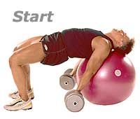 Supine Dumbbell Biceps Curls with TheraGear� Swiss Ball Pro  1
