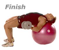 Supine Dumbbell Biceps Curls with TheraGear� Swiss Ball Pro  2