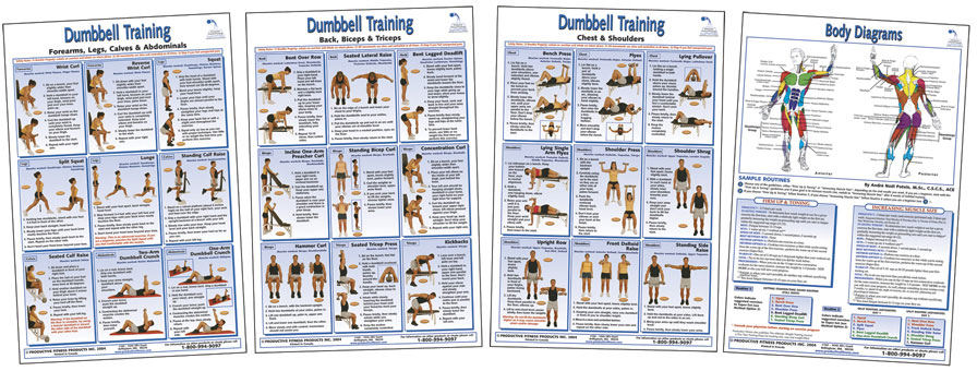 York 401 Home Gym Workout Chart