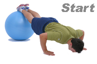 Push Ups On The Swiss Exercise Ball 1
