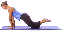 Yoga Position: Beginner plank 1