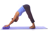 Yoga: Downward dog with blocks 1