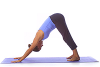 Yoga Position: Downward dog 1