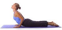 Yoga Position: Cobra/Elbows bent 1