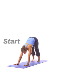 Yoga: Handstand 1